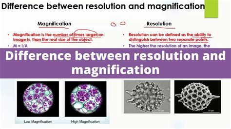 define magnification in microscope|3.1D: Magnification and Resolution .